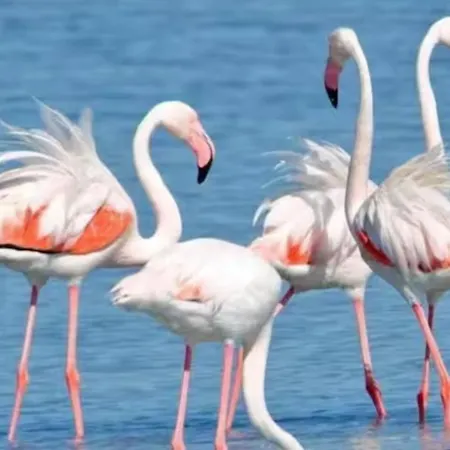 Casa King's House 別荘